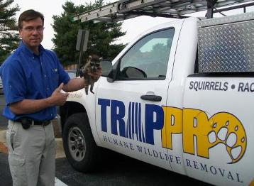 Trappro Wildlife Removal Baltimore Maryland