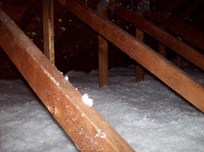 New Attic Insulation After Bat Exclusion in Annapolis MD